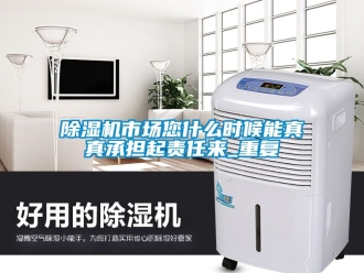 行业新闻除湿机市场您什么时候能真真承担起责任来_重复