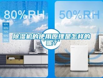 企业新闻除湿机的使用原理是怎样的呢？